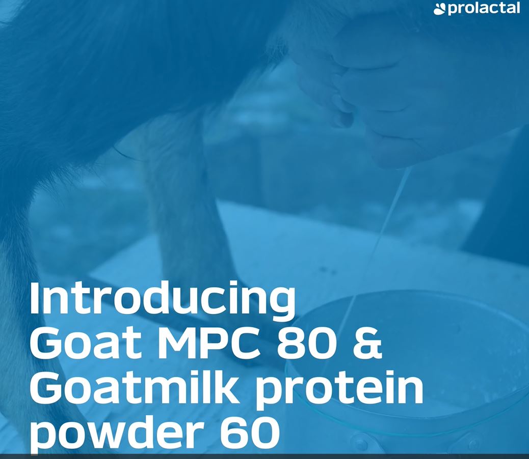 Unlock the power of protein from goat milk